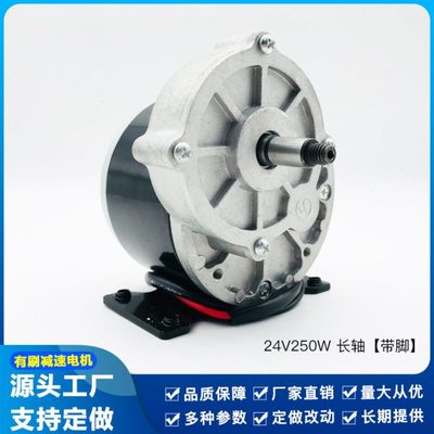 12V电动车电机永磁直流有刷减速MY1016Z2尤奈特同款24v250W羚鹰