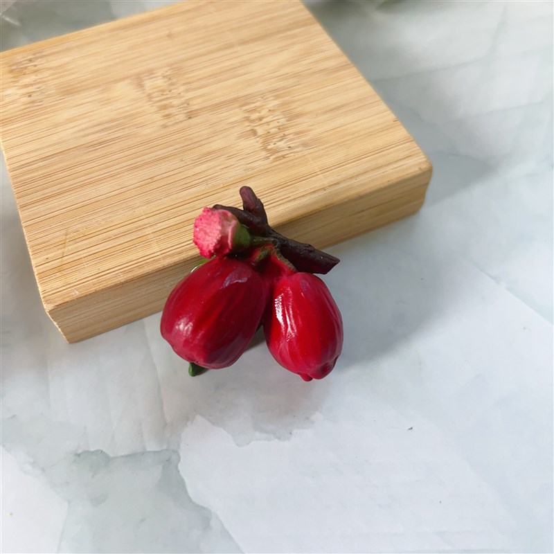 泰国水果榴莲莲雾椰子释迦食玩冰箱贴美食纪念旅游创意礼品杨桃