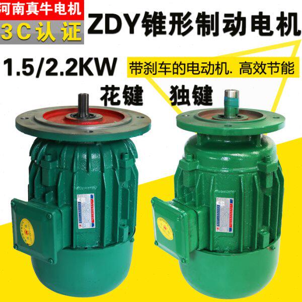 河南真牛电机ZDY22-41.5KW法兰200mm独键锥形转子三相异步电动机