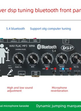 发热蓝牙前面板麦克风卡拉ok混响调谐无损U盘双输出立体声跳Marqu