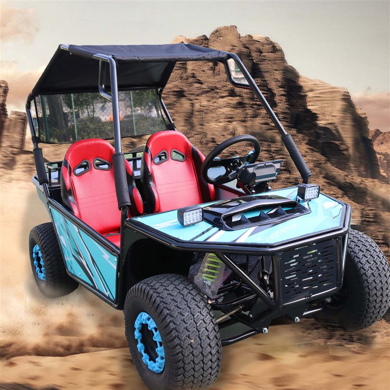 电动亲子款卡丁车双人越野卡丁车1000w成人UTV四轮全地形沙滩车