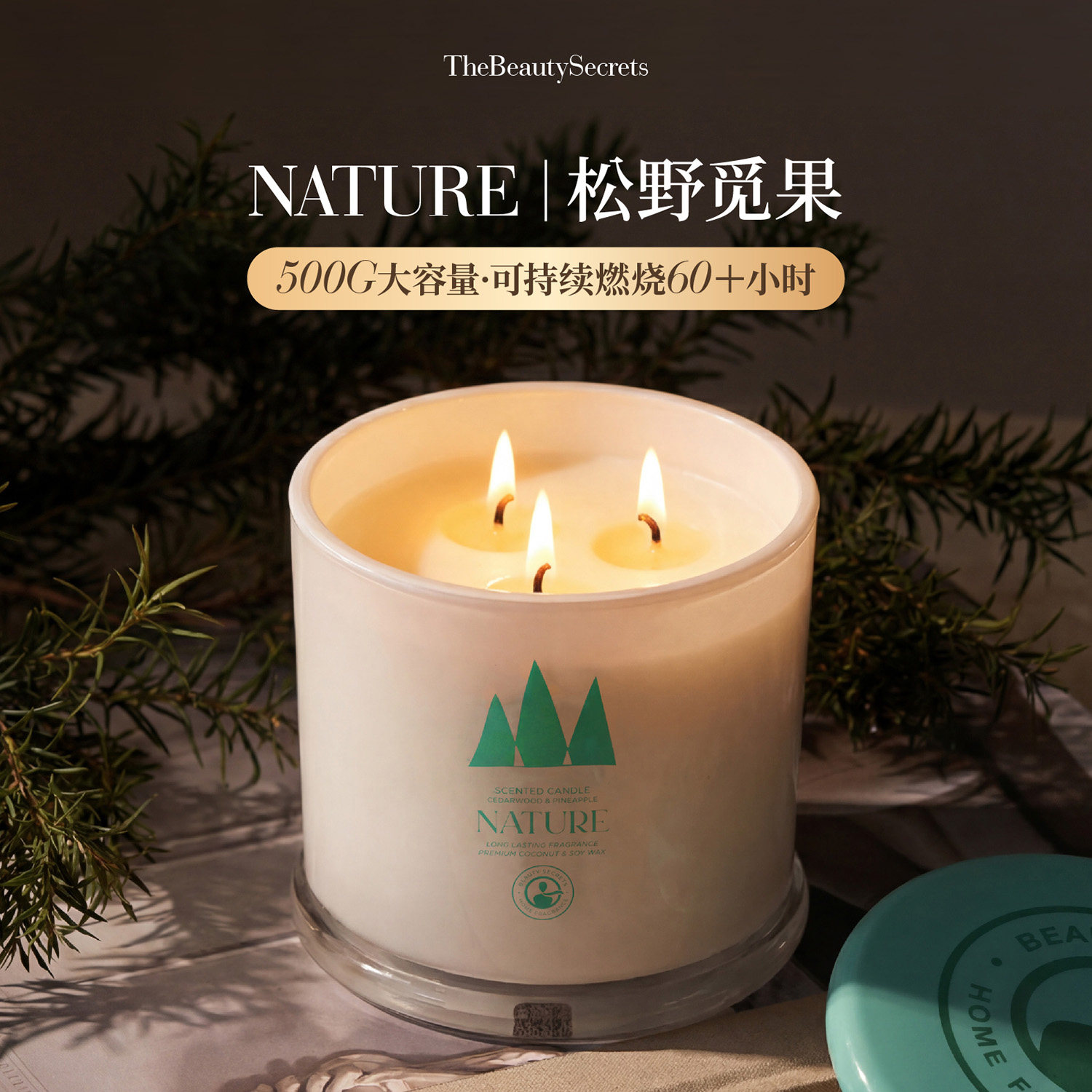 TBS香薰蜡烛低温无烟大容量小众高级花果香蜡烛室内家用薰香礼物