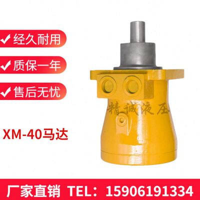 ZM-40徐工回转马达XM-F40L 轴向柱塞泵（马达）XM-F75F吊机专用