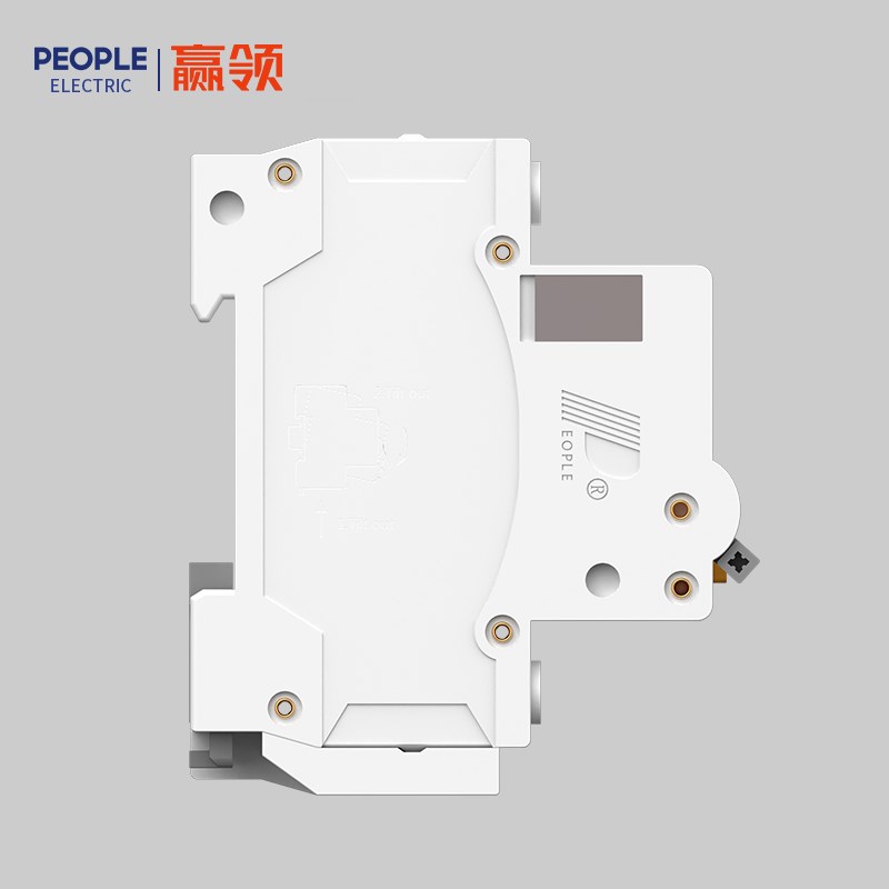 中国人民电器RDB5LE-40家用小型漏电断路器6-40A双进双出DPN漏保