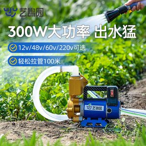艺锦园 12V48V220v抽水机大功率家用水泵 农用灌溉浇水机浇菜神器