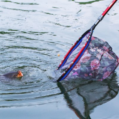 龙王恨抄网框新款渔具碳素抄网网兜轻量鱼网兜防挂钓鱼捞网渔具