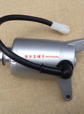 大阳DY125-8A/28A/58A/150-18/39/28A/58A/33启动机马达起动电机