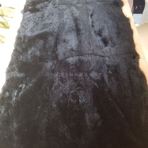 獭兔褥子毯子兔皮整张服装内胆面料布料沙发汽车坐垫獭兔整皮面料