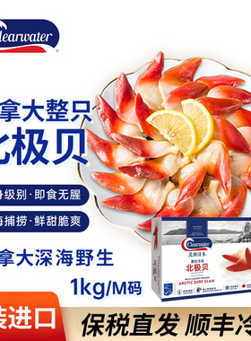 clearwater清水北极贝刺身1kgS加拿大鲜活熟冷冻日料寿司商用海鲜