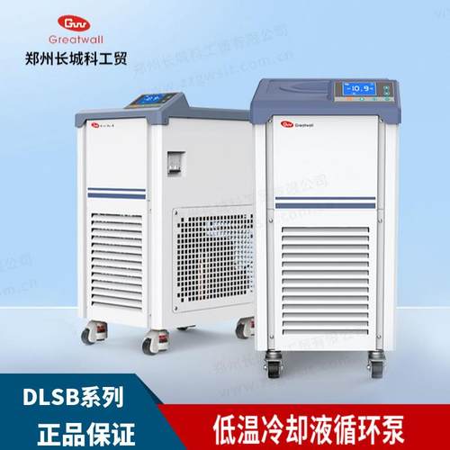 低温冷却液循环泵DLSB系列实验室低温泵制冷机恒温装置制冷机