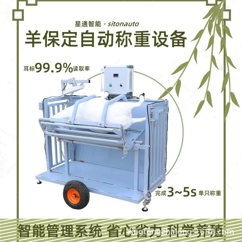 羊用保定架可翻转养殖场可移动称重设备智慧牧场羊只管理机械