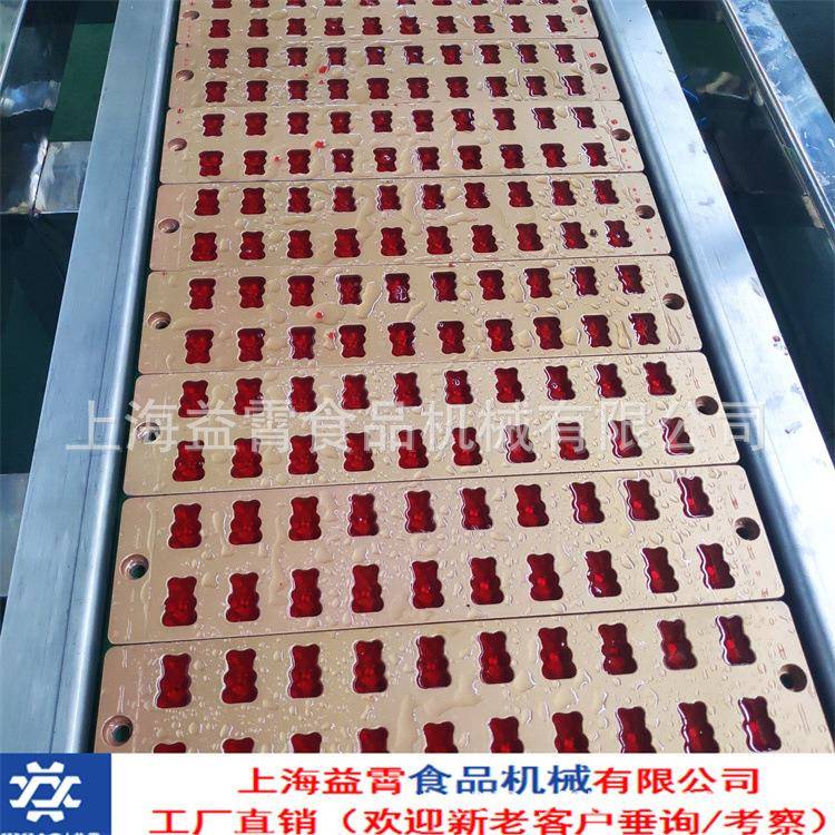 304材质胶原蛋白软糖机全套透明质酸钠软糖机提供褪黑素软糖机