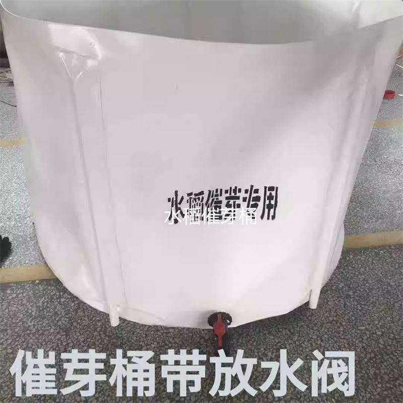 水稻种植种子催芽桶水稻催芽器长粒水稻泡芽器水稻快速发芽桶