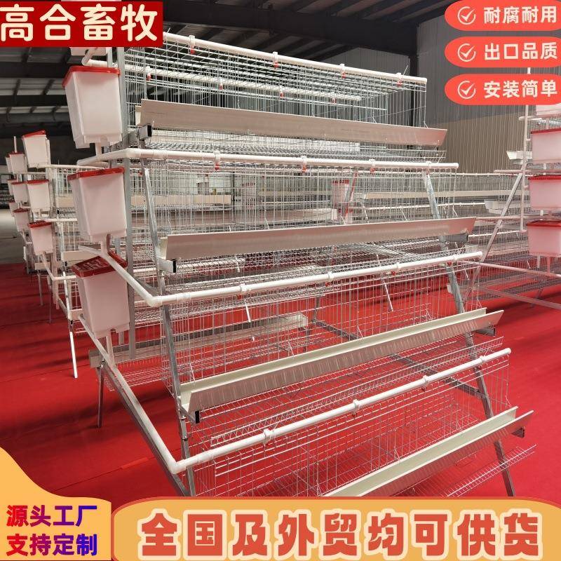 四层四门阶梯蛋鸡笼镀锌鸡笼工厂直供养殖笼肉鸡笼食槽现货