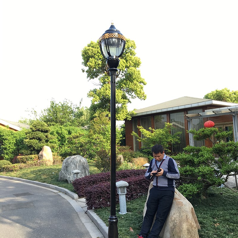 户外庭院b灯防水灯小区广场学校路灯3米3.5铁艺路灯景观灯