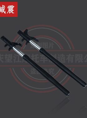 D5前减震望江天地游侠摩童迷你小钢炮TD150-3布雷斯通复古魔童