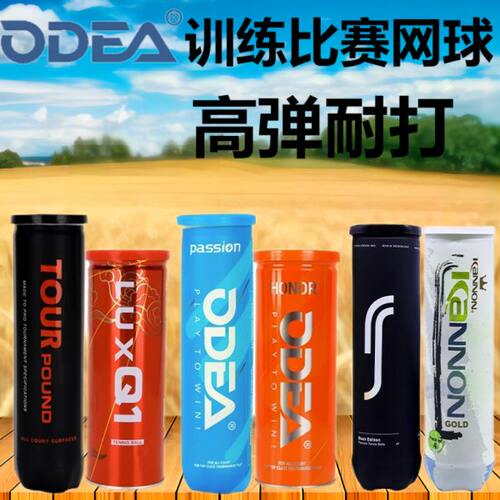 Odear欧帝尔天龙网球专业比赛用球Passion/P4高弹力耐打训练球