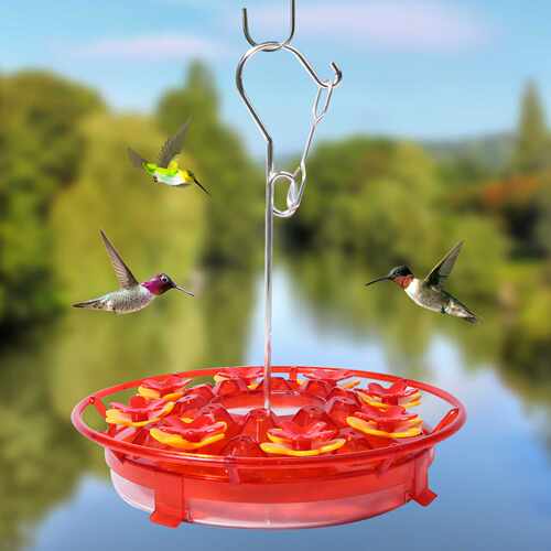 Hummingbird Feeder 悬挂式红色带钩蜂鸟喂食器园艺花园喂鸟器