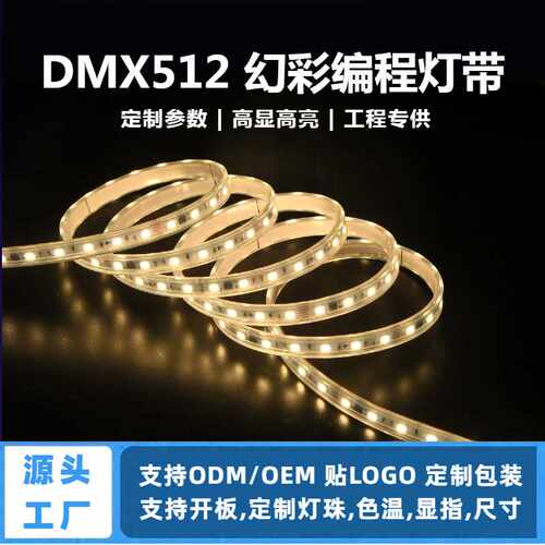24v5050led软灯带IP67环保RGB硅胶霓虹灯DMX512灯条幻彩跑马灯条