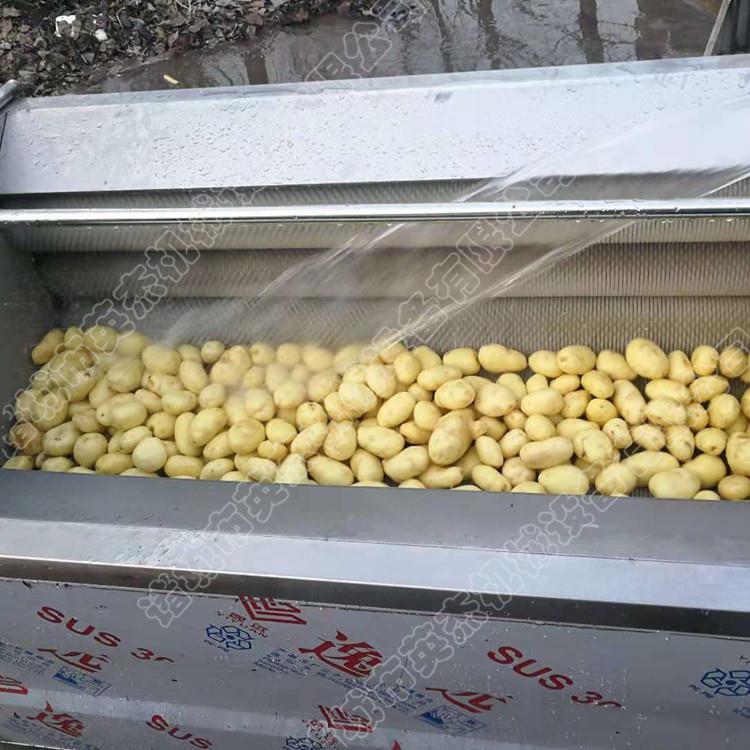 商果蔬清洗芋土豆清洗用设备头洗根茎类清机新鲜英杰红薯清洗加工