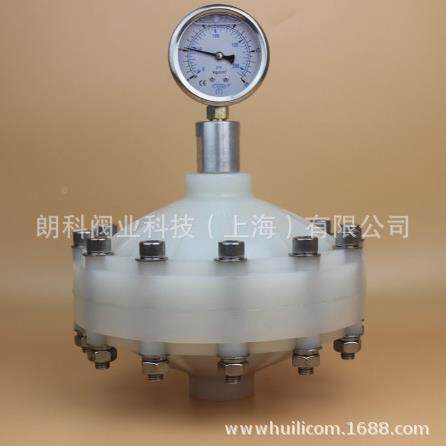 四氟-塑料脉动阻尼器四氟尼器RXMZ朗科S2阻.0脉冲阻尼器DN15-D N5