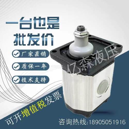 布雷维尼brevini齿轮泵1OT00P7/11/16/20/GLI25/32/40/49/6508/5/