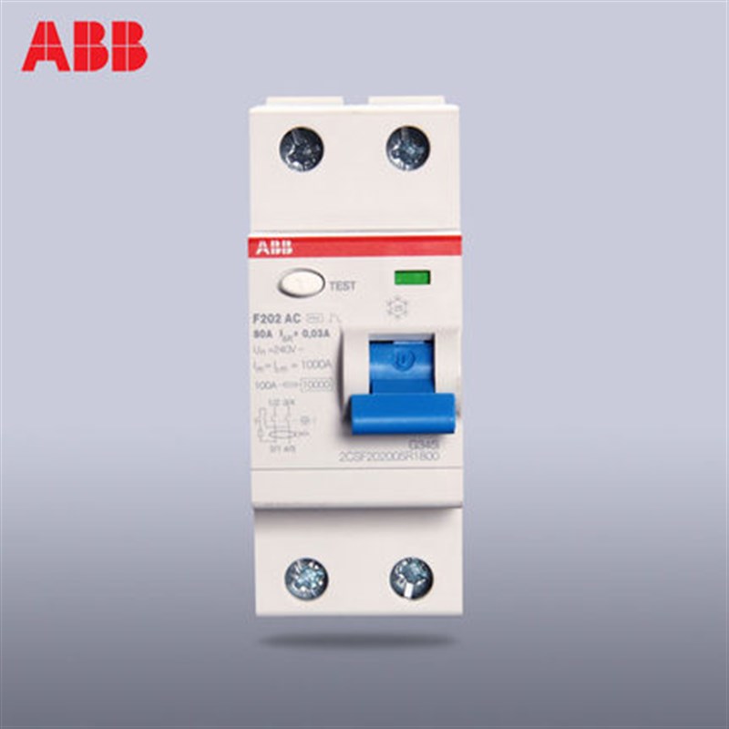 A漏电保护器空气开关2oP总电闸家用80A100A双极220V进口断路器
