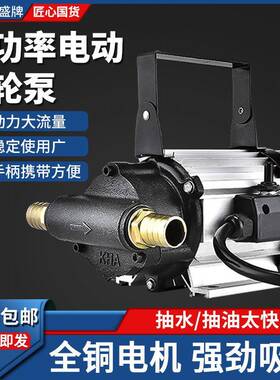 电动抽油泵12V24V220V通用大功率柴油泵大流量自吸泵齿轮泵加油机