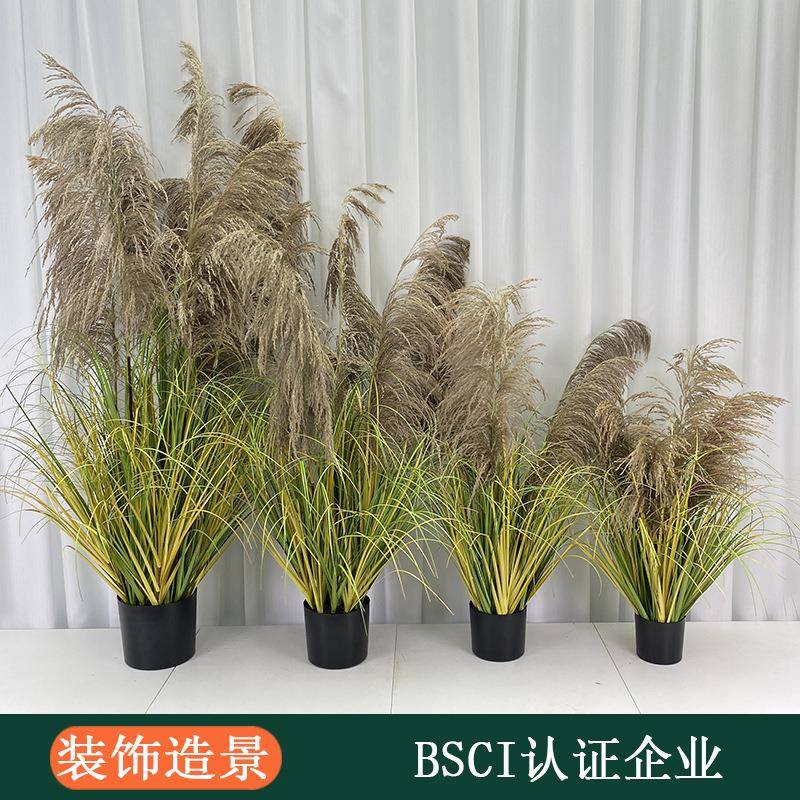 组合造景干花大头芦苇草叶仿真植物假绿植大型盆栽装饰假盆栽带盆