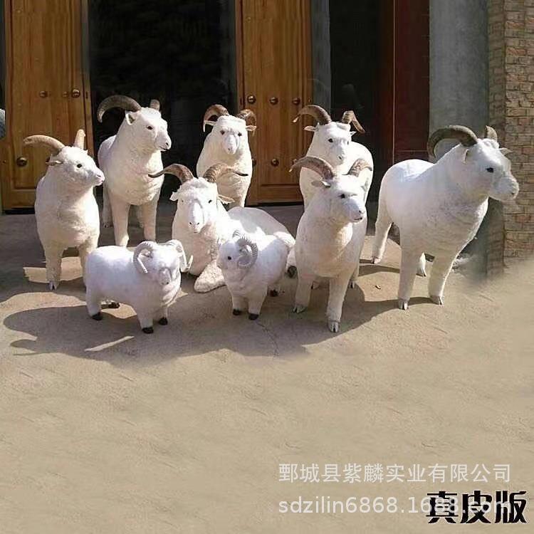 仿真绵羊动物模型动物模型摆件超市装饰风水摆件大号羊绒玩具羊