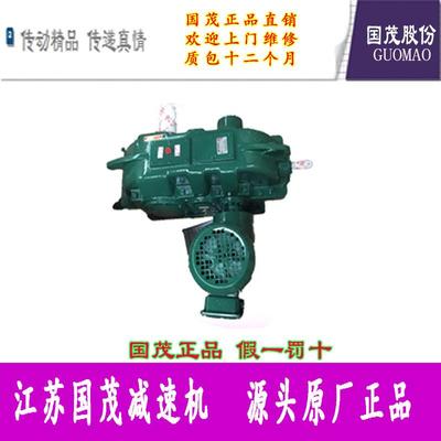 江苏常州国贸国泰斗式提升机专用带辅传减速机DTZ160S-20-III-N
