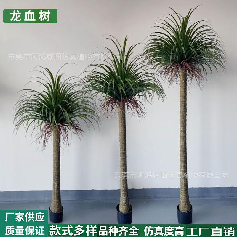 仿真龙血树龙葵树仿真轻奢绿植室内客厅高端落地装饰摆件大型仿生