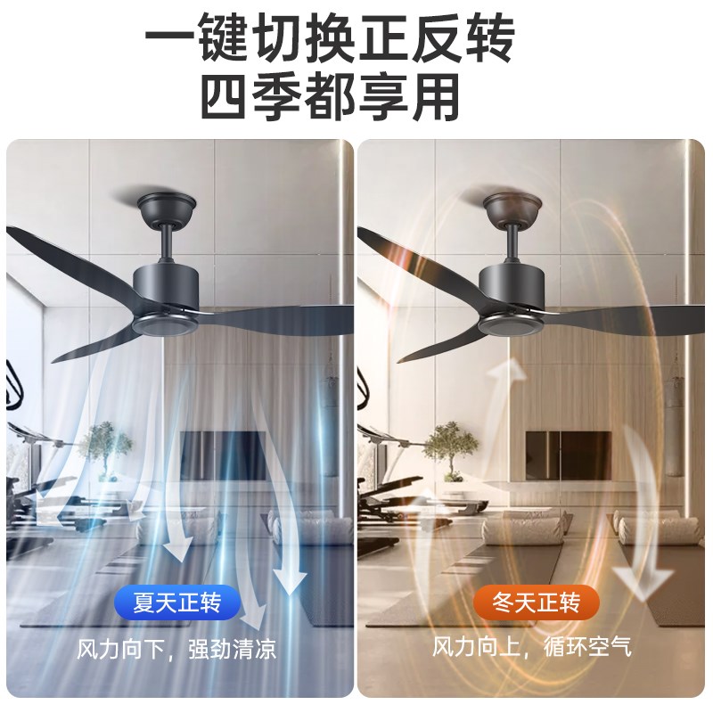 吊扇风扇家用客厅l吊风扇餐厅大风力变频静音吊扇无灯2024新款
