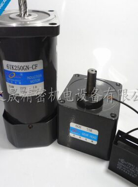 250W 交流220V 定速电机 6IK250GN-CF 齿轮单相减速微型/6GN75K