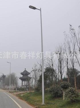 户外道路照明灯杆10米单臂杆LED路灯杆钠灯灯杆单弯杆
