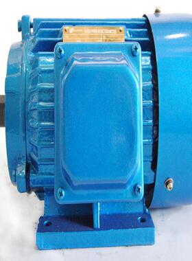 YE2-315L1-90W-8级台州厂家直供三相电机多规格可选网上零售