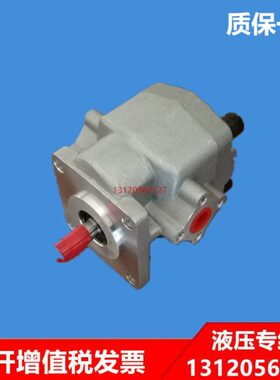 PA8RD66  台湾台成齿轮泵 PA7RD66 SGP1A20 1PM5P04R 1PM5P09R