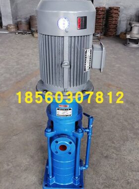 80LG50-20x2高层建筑给水泵 11kw 消防城市供水 80LGx2多级离心泵