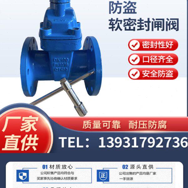 FDZ45X-16防盗软密封闸阀三角钥匙带锁闭闸阀自来水厂表前阀直供