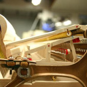 红白色 钢琴调律维修配件 护垫减少杂音 小圆羊毛毡垫片 后浪器乐