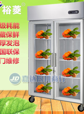 金菱D1.0LA2D钢玻璃门内藏铜管冷柜 商用单机保鲜冷藏柜 冰柜冰箱