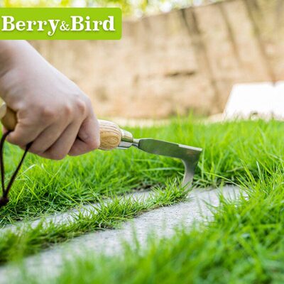 Berry&Bird户外不锈钢庭院石缝夹缝杂草拔草器除草bb园艺工具