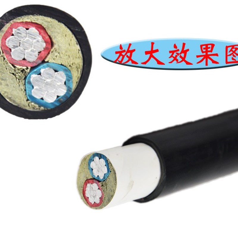 国标纯铝硬2芯Z-/V2q*10/16/25/35平方电线电缆进户线室外