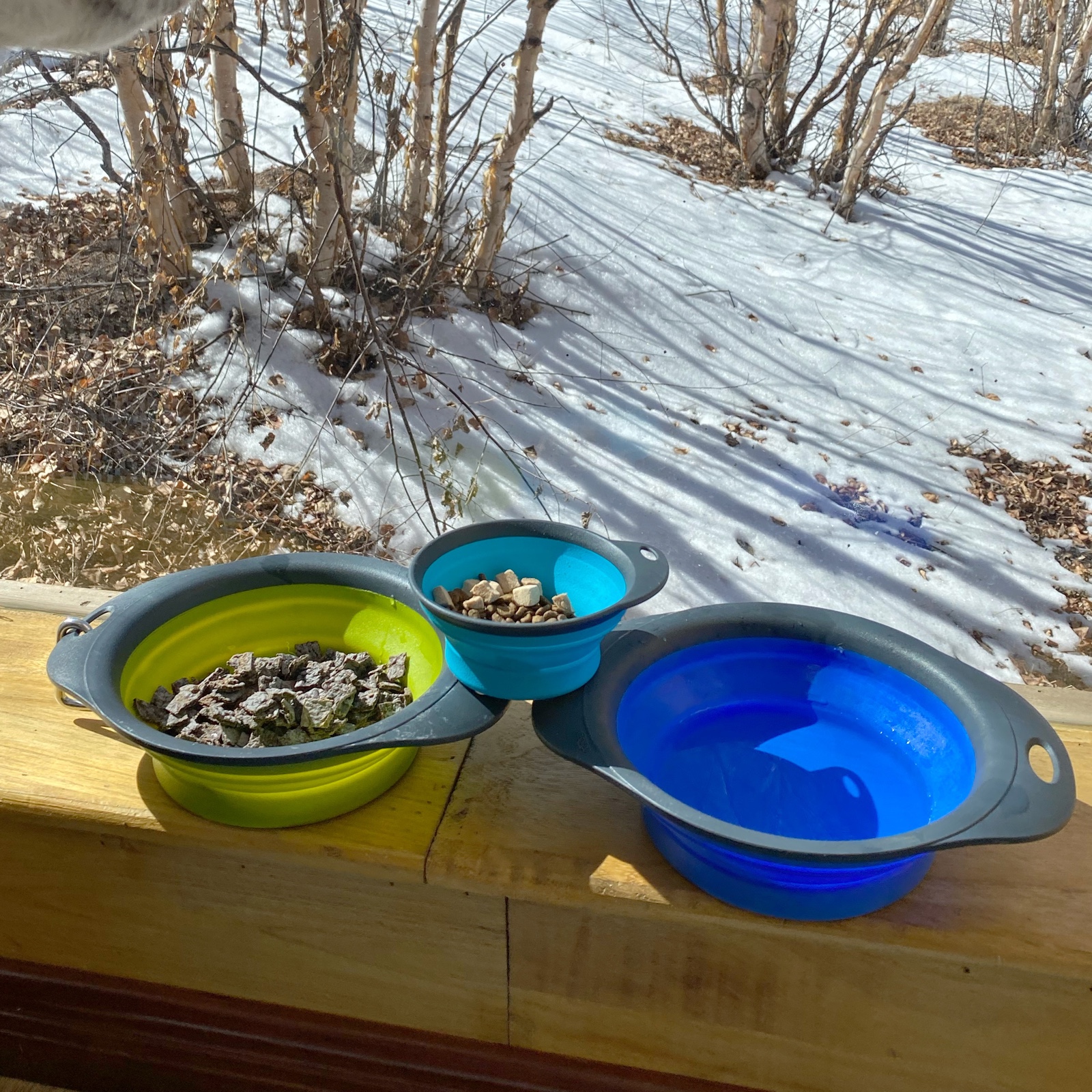 大胖商店 Dexas折叠外出碗宠物碗猫碗狗碗狗盆饮水器喝水食盆