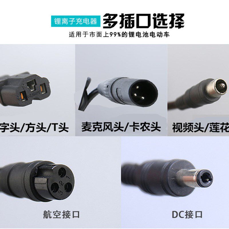 锂电池充电器24V36V48V60伏2ADC头雅新力威电动车电自行车充电器