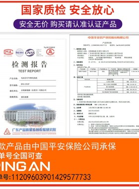 极核Ae2本/田祖玛电动车UB-e/S07锂电池48V52V60V宁德大单体原装