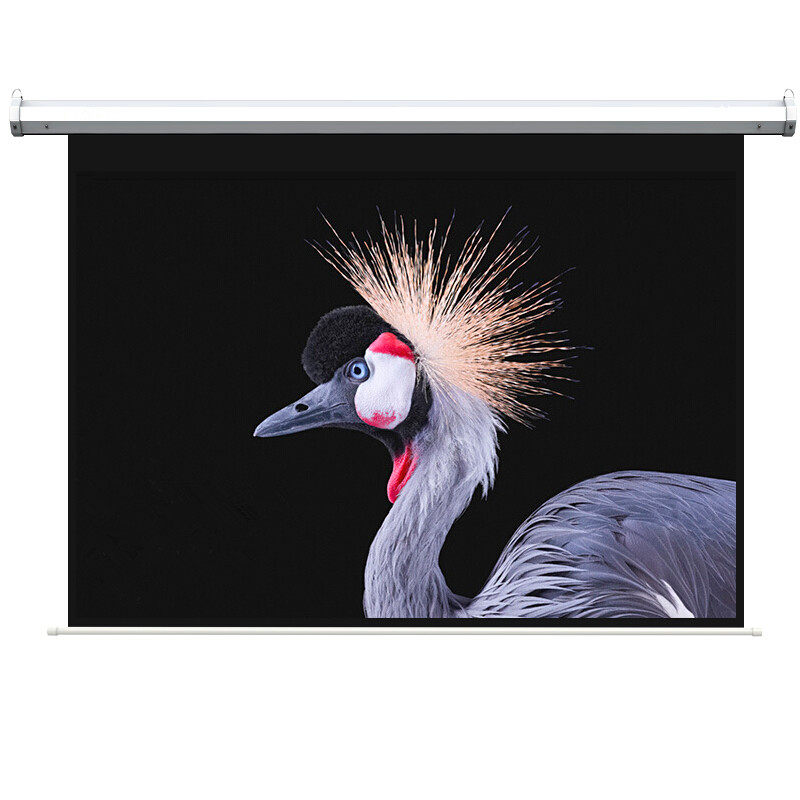 红叶电动投影幕布84/100/120/150/180/200寸高清遥控白玻纤玻珠幕