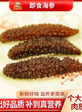即食海参小黑刺参野生海参海生鲜食500g独立装袋非鲜活礼盒装海渗