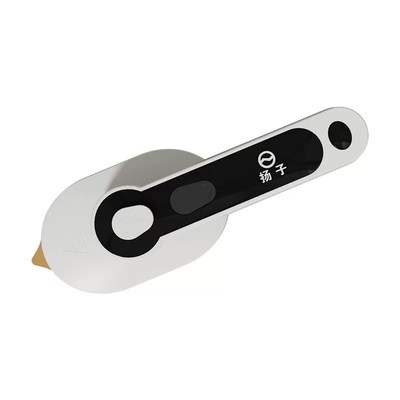 扬子喷雾式迷你电熨斗手持除皱挂烫机网红款熨烫机便携