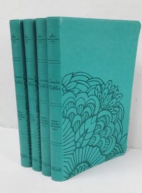 绿色封面英文装饰书可翻阅外文真书书柜样板房酒店咖啡厅摆件